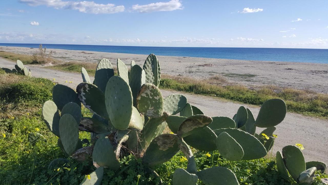 Magna Grecia B&B E Appartamenti Caulonia Marina Εξωτερικό φωτογραφία